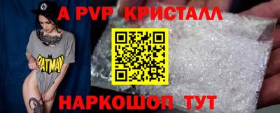 СК Рыбинск