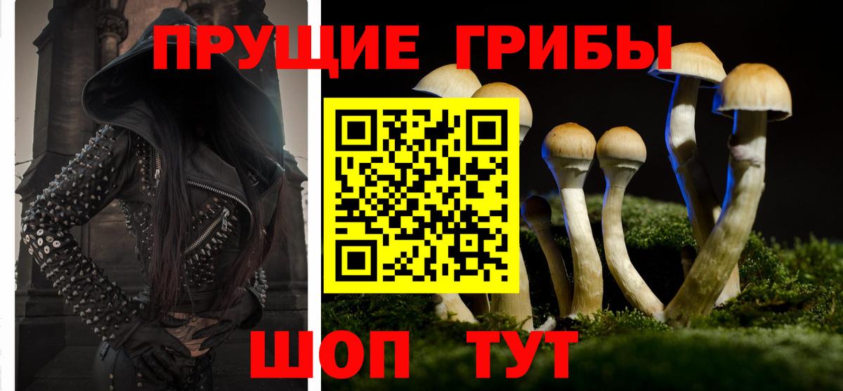Псилоцибиновые грибы MAGIC MUSHROOMS Ревда