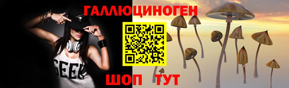 Псилоцибиновые грибы прущие грибы  Псилоцибиновые грибы мицелий  Вход с VPN  закладка  Ревда 